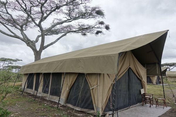 tent