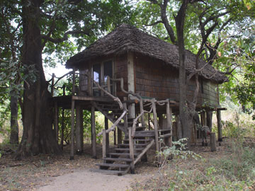 treehouse