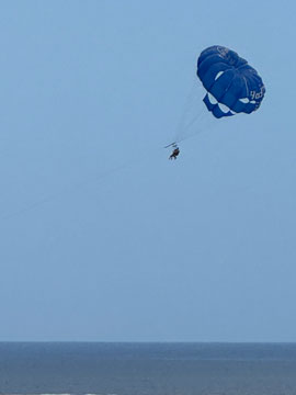 paraglider