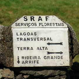 signpost