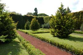 hedge garden