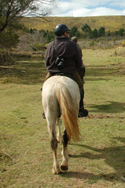 J on horse