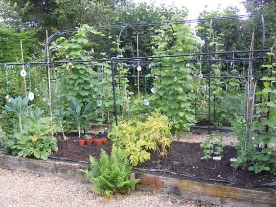 veg bed