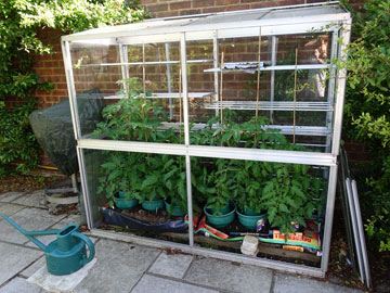 greenhouse