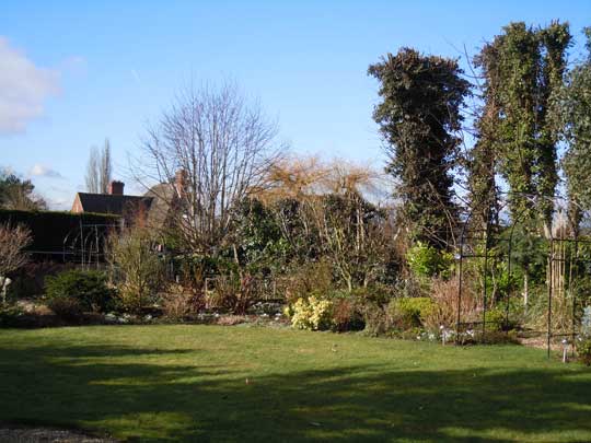 garden