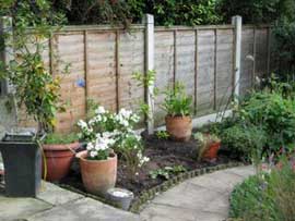 Gilda's garden June 2008