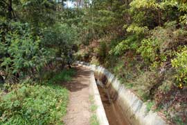 levada walk