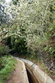 levada walk