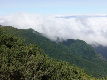 pico da fonte