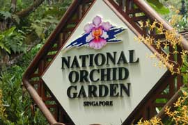 orchid sign