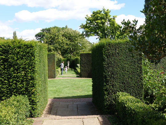 hedges