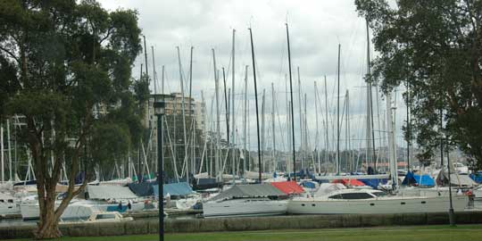 Rushcutters Bay