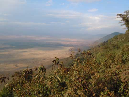 ngorongoro