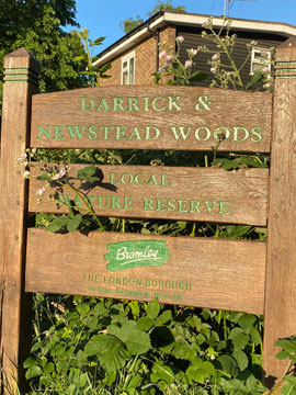 wood sign