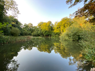keston ponds