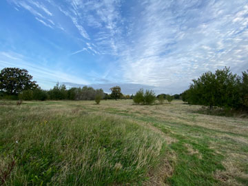 richmal crompton fields