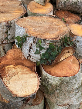 logs