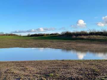 paul cray country park