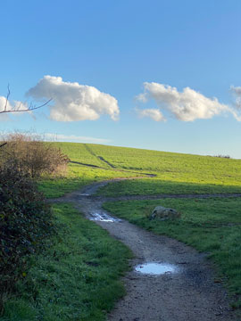 paul cray country park