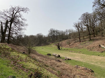 Knole Park