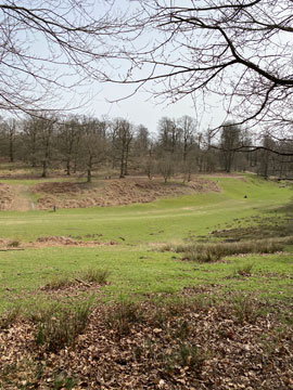 Knole Park