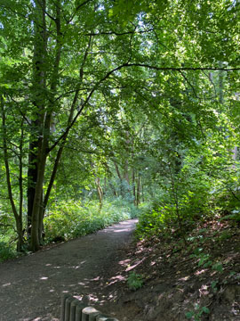 Knole shade