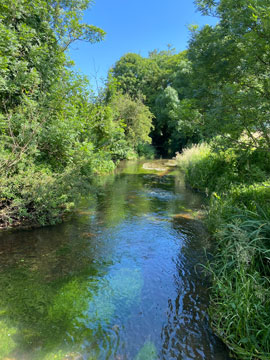 River Darent