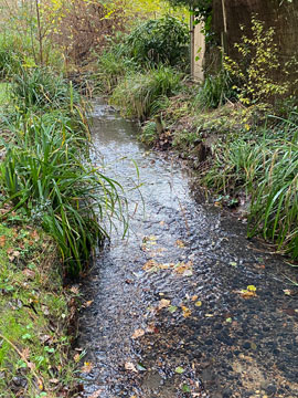 Kyd Brook