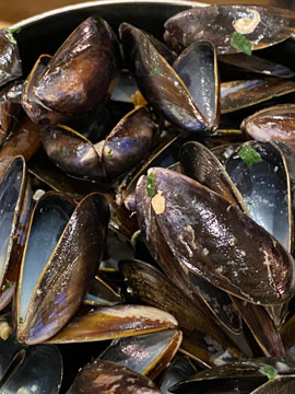 mussels
