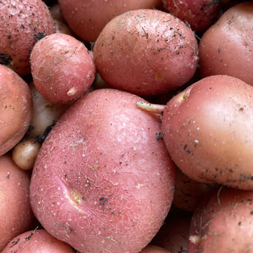 potatoes