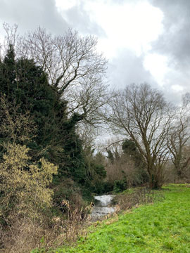 river cray