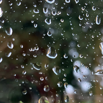 raindrops