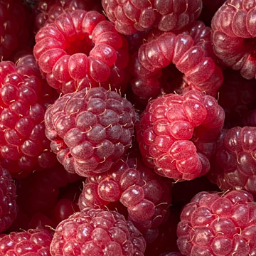 raspberries