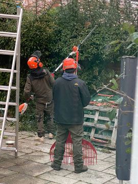 tree pruners