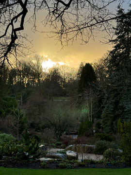 harlow carr