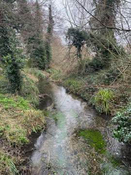 river cray