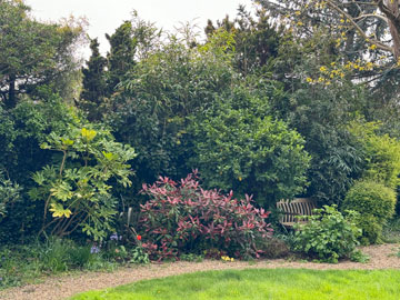 garden