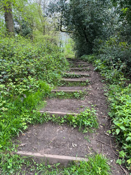 steps