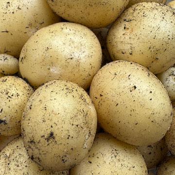 potatoes