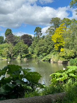 Kelsey Park