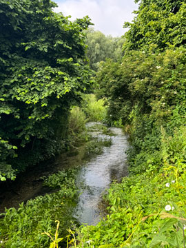 River Cray