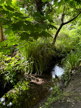 Kyd Brook