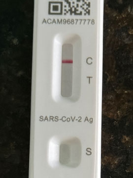 covid test