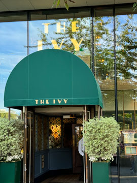Ivy