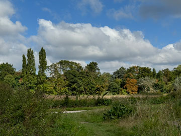 SN Country Park
