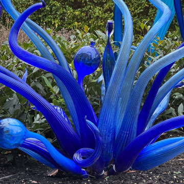 chihuly