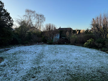 snowy garden