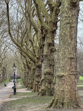 green park