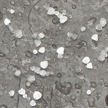 hailstones