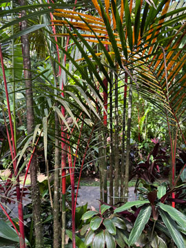 screened off balcony